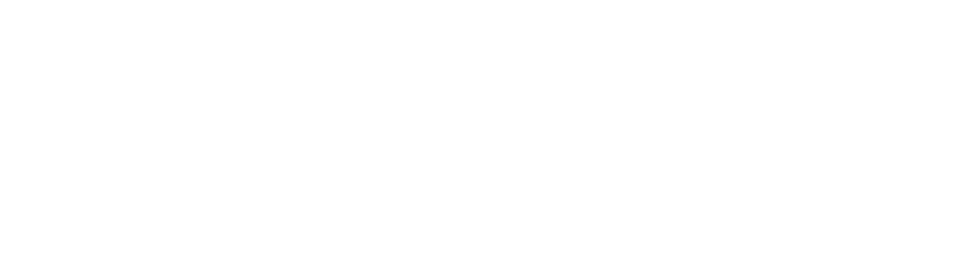 Ninja Bleu