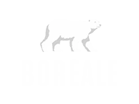 boreal logo